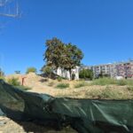video nu mai lucreaza nimeni la parcul de la soveja santierul a fost abandonat ca si amenajarea noului cap de linie pentru autobuze 68a7923622a39