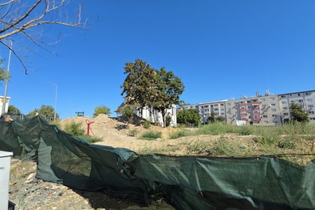 video nu mai lucreaza nimeni la parcul de la soveja santierul a fost abandonat ca si amenajarea noului cap de linie pentru autobuze 68a7923622a39