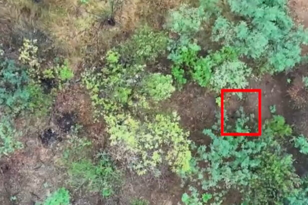 video o brigada militara ucraineana a publicat un videoclip socant in care apar femei ruse luptand in unitati de asalt din prima linie 68908d955e448