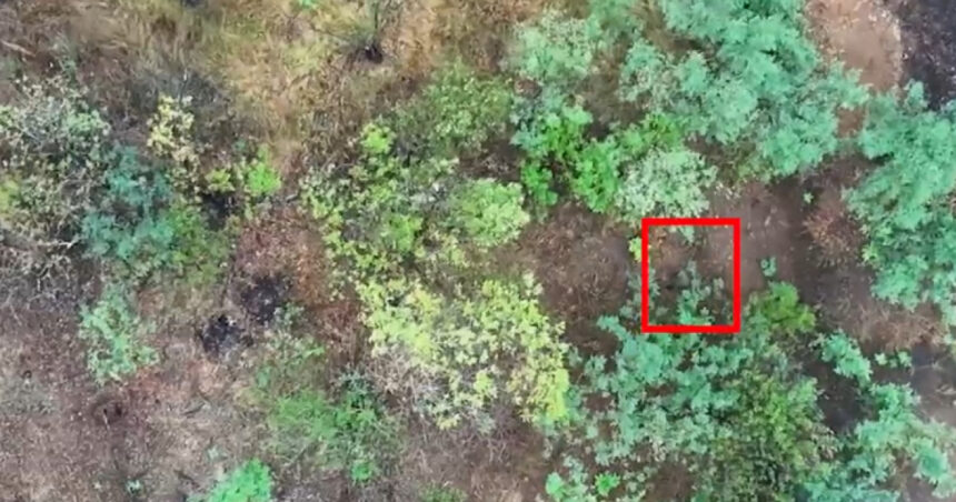 video o brigada militara ucraineana a publicat un videoclip socant in care apar femei ruse luptand in unitati de asalt din prima linie 68908d955e448