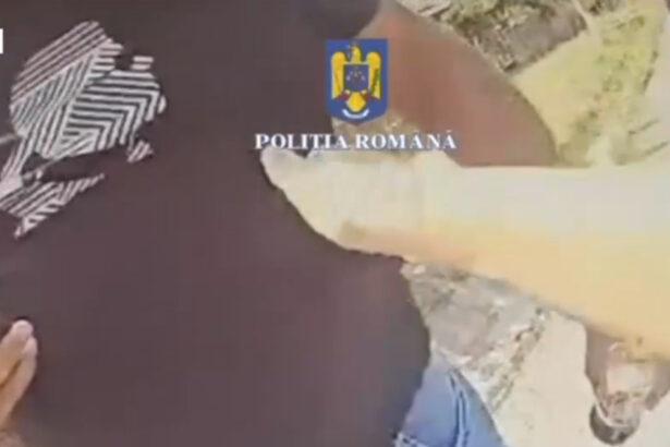 video politista amenintata cu toporul de un barbat in dolj femeia a tras un foc de avertisment 68a9b21eb1623
