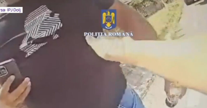 video politista amenintata cu toporul de un barbat in dolj femeia a tras un foc de avertisment 68a9b21eb1623