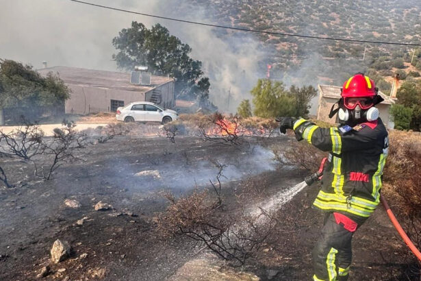 video pompierii romani avertizeaza peste 250 de incendii au izbucnit in doar 24 de ore cate hectare au ars si ce i se recomanda populatiei 689afcdd3e416