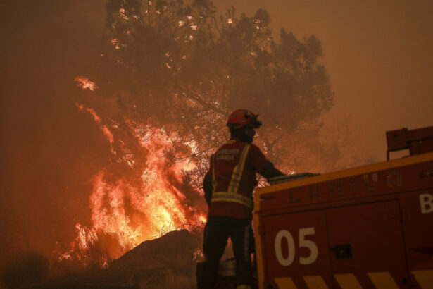 video portugalia se lupta in continuare cu incendiile de vegetatie un pompier a murit in timpul unei interventii 68a9f155f243b