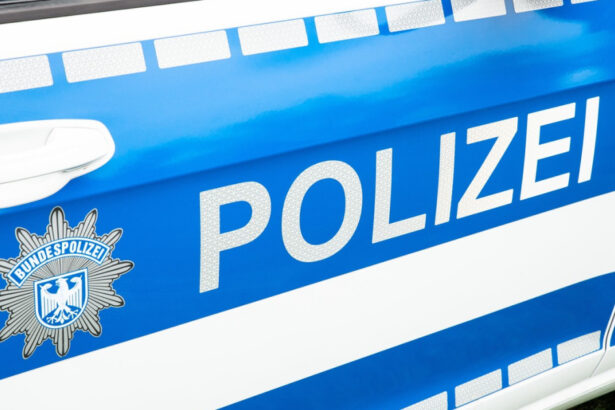 video tragedie in germania un roman si a ucis logodnica si baietelul si s a sinucis doar fetita lor a supravietuit 68ab5475884be