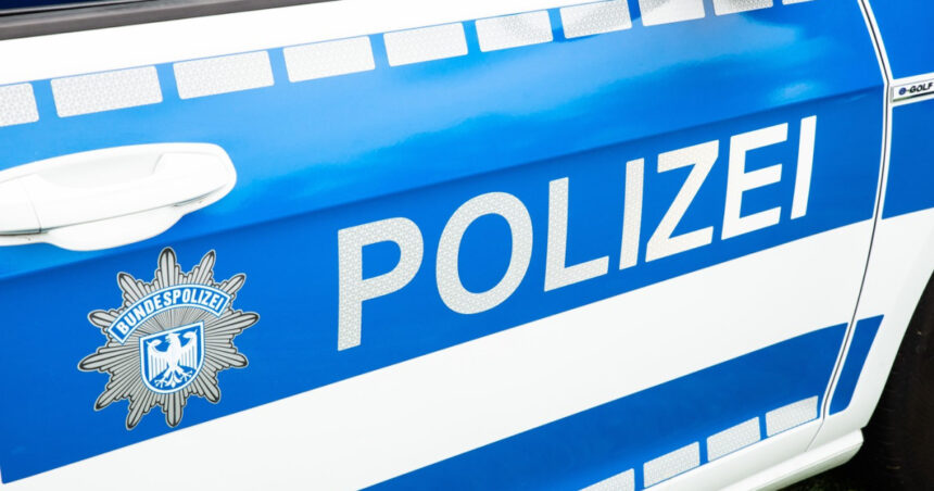 video tragedie in germania un roman si a ucis logodnica si baietelul si s a sinucis doar fetita lor a supravietuit 68ab5475884be