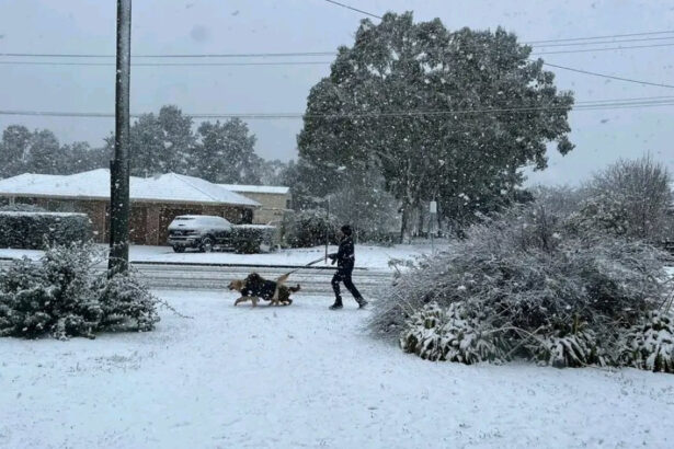videofoto fenomen rar aparut in conditii meteo extreme cel mai gros strat de zapada din ultimele decenii in australia 688f5b1b10177