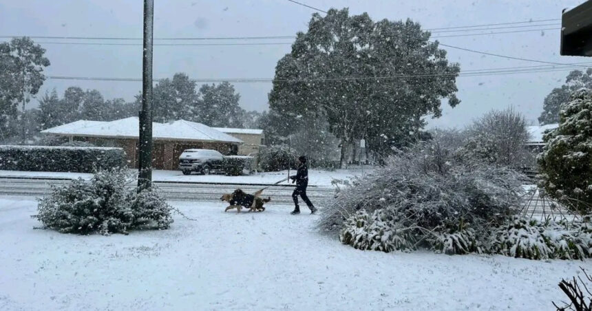videofoto fenomen rar aparut in conditii meteo extreme cel mai gros strat de zapada din ultimele decenii in australia 688f5b1b10177