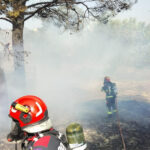 videofoto pompierii romani trimisi in grecia la stingerea incendiilor de vegetatie salvatorii au o misiune dificila 689647463b4ce