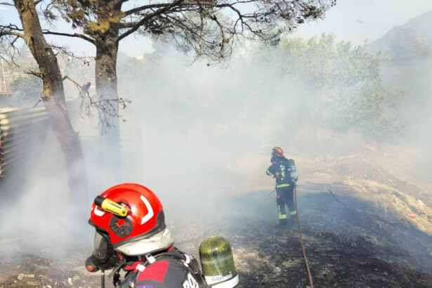videofoto pompierii romani trimisi in grecia la stingerea incendiilor de vegetatie salvatorii au o misiune dificila 689647463b4ce