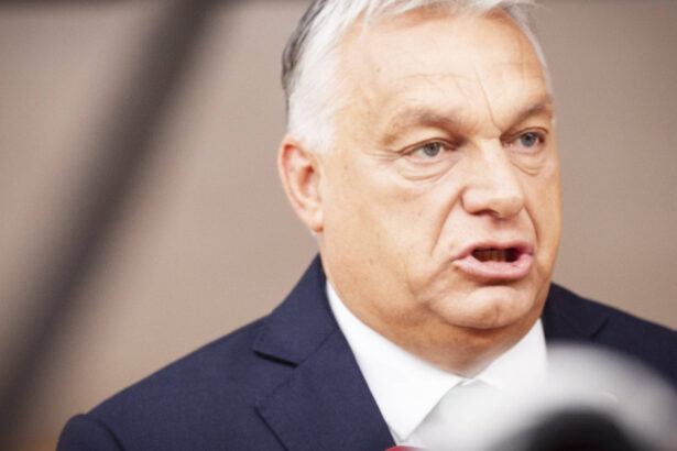 viktor orban vrea un sistem comun de aparare impotriva imigratiei in europa centrala ce rol ar avea romania 688f907b35a11