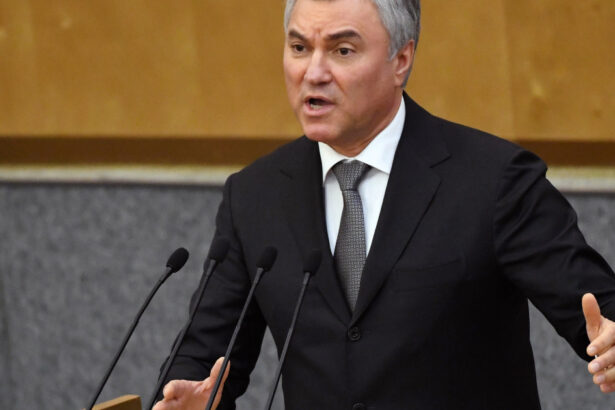 vladimir putin l a trimis pe seful deputatilor in china volodin va discuta despre ingerintele externe 68ac211b4b041