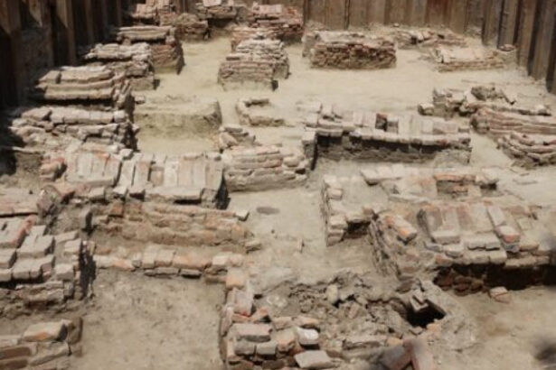 zeci de morminte medievale au fost descoperite in curtea unui liceu lugoj o adevarata fereastra catre trecut 6890674468fb2