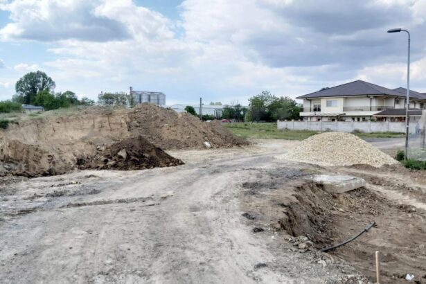administratia locala obligata prin hotarare judecatoreasca sa salubrizeze o strada din compozitori si sa toaleteze copacii in urma reclamatiilor unor locuitori 68b4cb30691c1