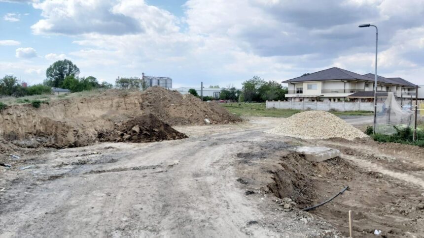 administratia locala obligata prin hotarare judecatoreasca sa salubrizeze o strada din compozitori si sa toaleteze copacii in urma reclamatiilor unor locuitori 68b4cb30691c1