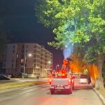 administratia locala obligata sa reia licitatia de 73 de milioane de lei pentru dezinsectie si deratizare 68b786ca72926
