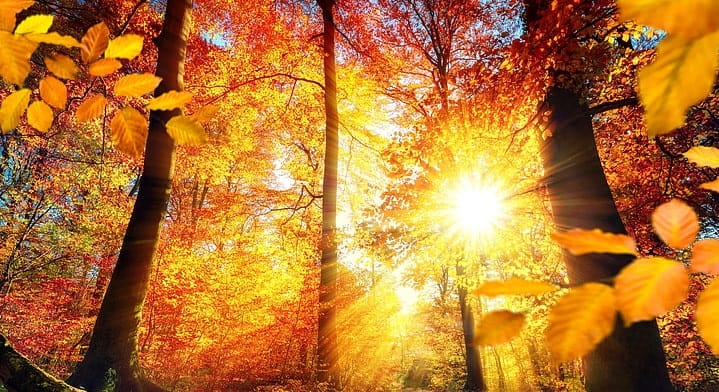 astazi vremea va fi frumoasa in dobrogea dar maine se va raci si va ploua pe arii