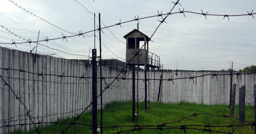 bilet catre arctica in interiorul sistemului rus de munca fortata detinutii acopera deficitul de personal al economiei dure de razboi 68c6547ce2904