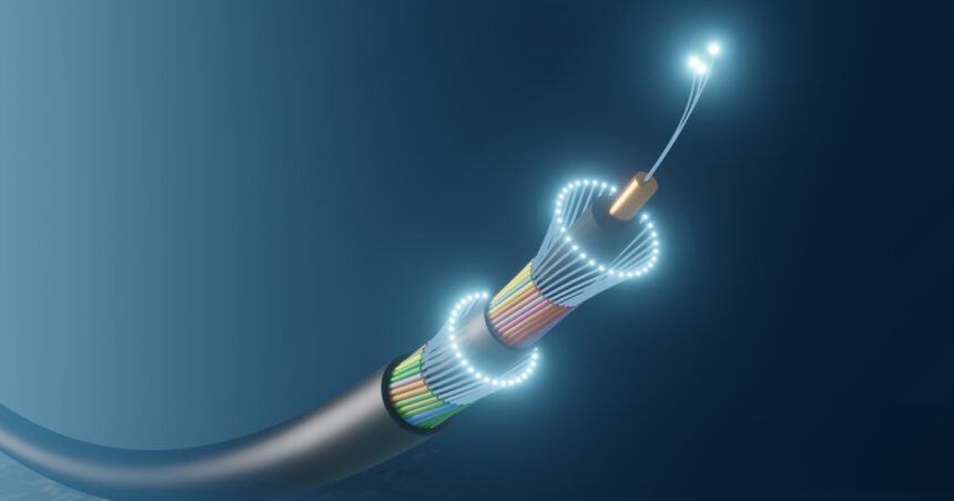 cabluri submarine din marea rosie au fost avariate blocand accesul la internet in asia si orientul mijlociu 68bdb44901c2b