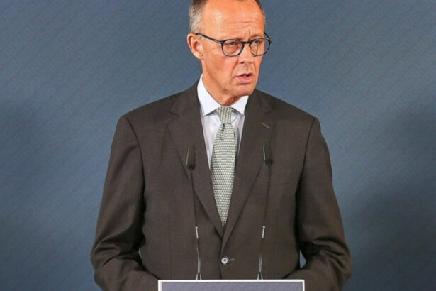 cancelarul germaniei cere intarirea serviciilor secrete pentru a infrunta rusia si atacurile hibride 68c3166a74386
