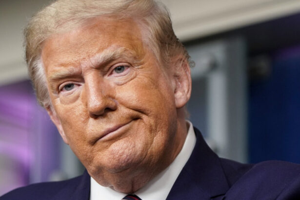 ce este viza h 1b taxata acum cu 100 000 de dolari de donald trump un exod al creierelor va afecta grav productivitatea 68d24383b6abb