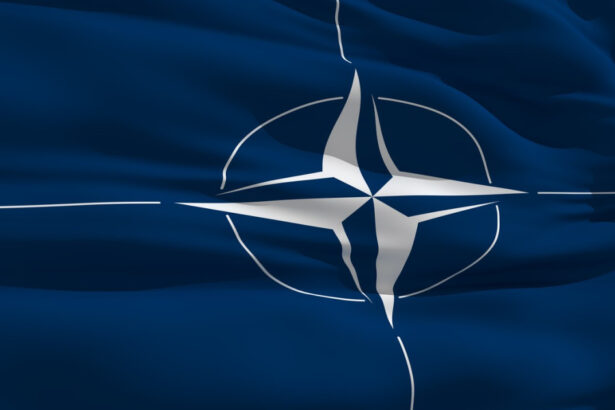 ce prevede articolul 4 din tratatul nord atlantic pe care polonia urmeaza sa il activeze dupa ce a doborat mai multe drone rusesti 68c14a4a2148f