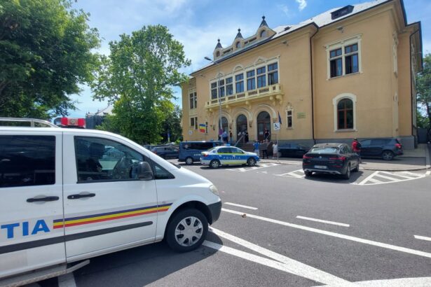 cea mai sincera audiere din instanta la constanta beau zilnic dupa program cum face orice om dau mancare la furnici 68c735488d0f5