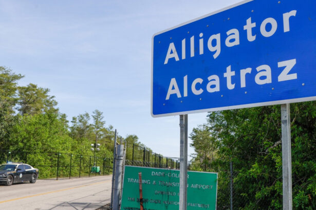 centrul de detentie pentru imigranti din florida alligator alcatraz poate ramane deschis a decis curtea de apel din sua 68ba88339f33e