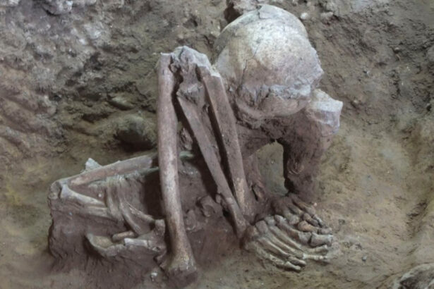 cercetatorii au descoperit cele mai vechi mumii din lume au fost conservate cu mii de ani inainte de cele ale faraonilor din egipt 68d050540d2f3
