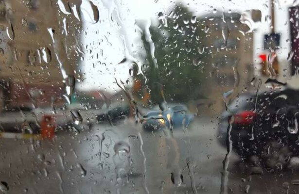 cod galben de ploi in sudul litoralului 68da6cb122a62