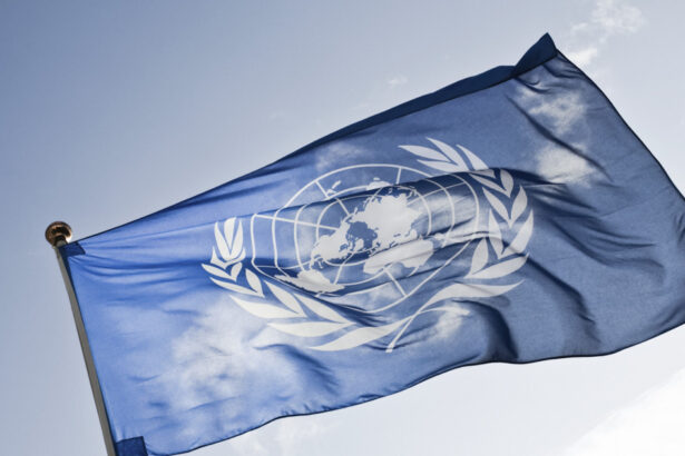 consiliul de securitate al onu se reuneste de urgenta care va fi tema discutata 68c28a08eceec