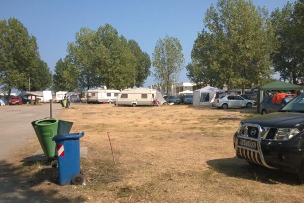 contracte controversate si un teren disputat avea voie mamaia sa sa l vanda dosarul se va transa la curtea de apel 68ba0aff33c38