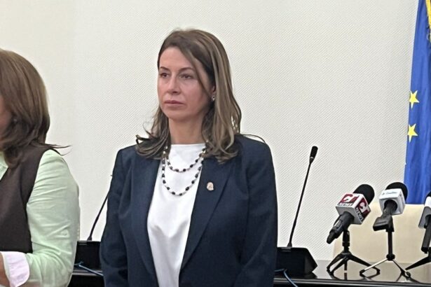 daniela serban actualul administrator al judetului ar urma sa paraseasca echipa de conducere a cjc 68d5b9a507ff2