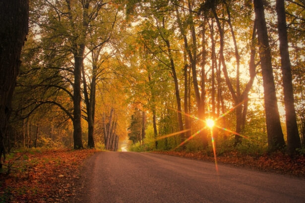 de ce ziua si noaptea nu sunt cu adevarat egale in timpul echinoctiului de toamna 68d06a88715f5