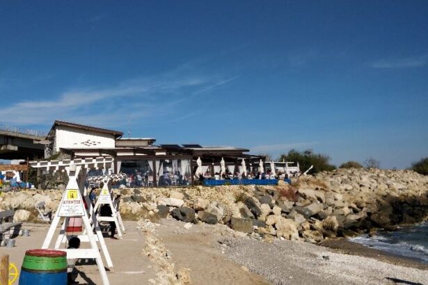 definitiv pescaria lui matei pastreaza plaja de la agigea 68d9a83123311