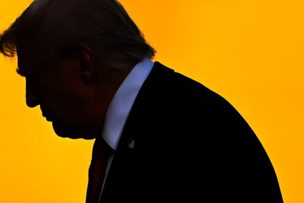 democratii propun o lege pentru protejarea libertatii de exprimare amenintate de presedintele trump 68cce14536aaf