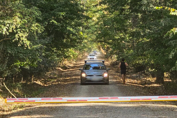 dezbatere privind interzicerea accesului auto in padurea baneasa platforma centura verde cere aplicarea legii pe aici nu se trece 68ba7e58ab245