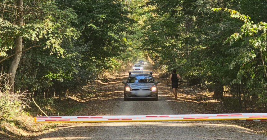 dezbatere privind interzicerea accesului auto in padurea baneasa platforma centura verde cere aplicarea legii pe aici nu se trece 68ba7e58ab245