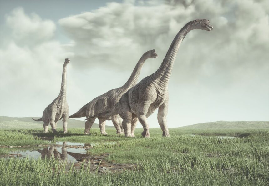 dinozaurii au fost afectati de o boala devastatoare indica noi fosile 68bfdb0304604
