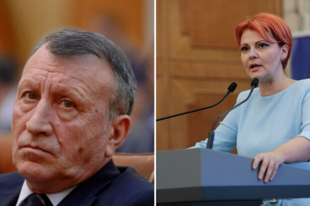 dispute in psd surse fratele lui paul stanescu a fost inlocuit de la adr oltenia cu un apropiat al liei olguta vasilescu 68d3f86379872