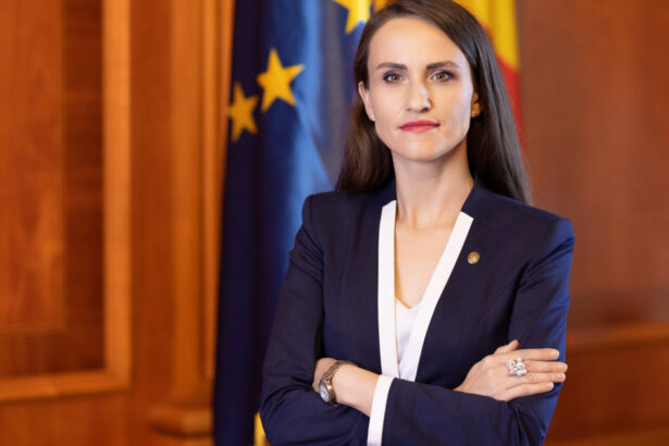 drona ruseasca intrata in spatiul aerian al romaniei oana toiu anunta ca va ridica problema la adunarea generala a onu 68c6bac526e45