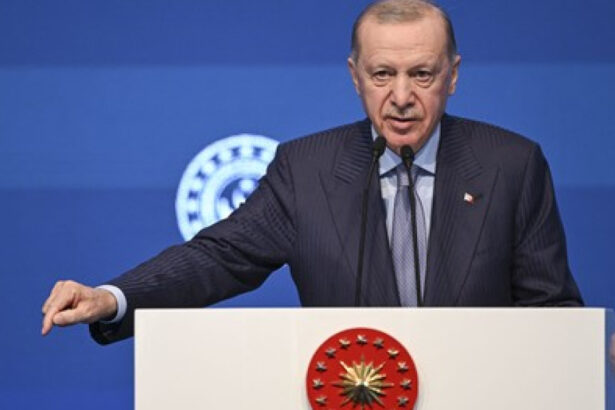 erdogan crede ca putin si zelenski nu sunt inca pregatiti pentru o intalnire presedintele turc a purtat discutii cu cei doi lideri 68b6fd6dcb6db