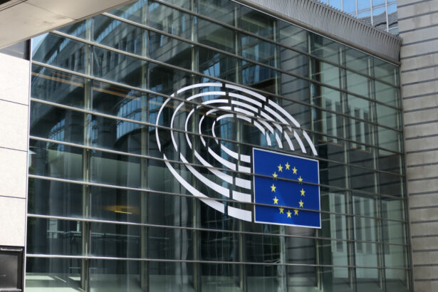 eurodeputatii vor sa modifice acordul comercial cu sua negociat de ursula von der leyen cu donald trump 68c45a3d31039