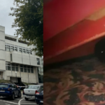 exclusiv cazul fusuloaica detalii despre crima din 1999 curtea de apel constanta a achitat un criminal in serie care luase vina asupra lui sperma si firele de par nu se potriveau 68d56ae9cc8bb