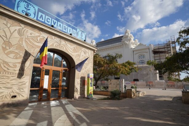florin mitroi am demarat toate procedurile pentru ca acvariul din constanta sa fie sigur si modern 68b8bfe3ceb8a