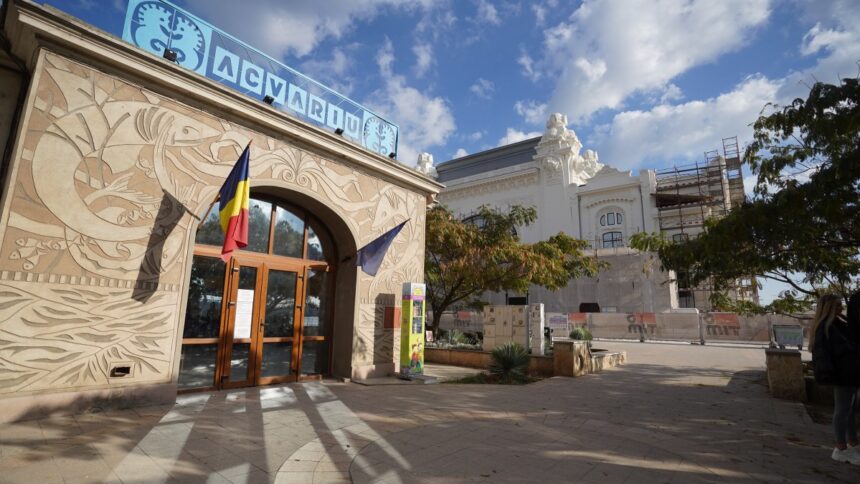 florin mitroi am demarat toate procedurile pentru ca acvariul din constanta sa fie sigur si modern 68b8bfe3ceb8a