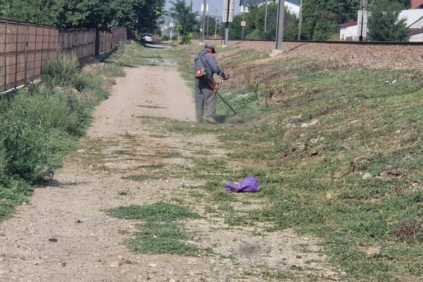 foto a inceput curatenia de toamna la valu lui traian echipele de la gospodarie comunala sunt pe teren 68d4192a6f575