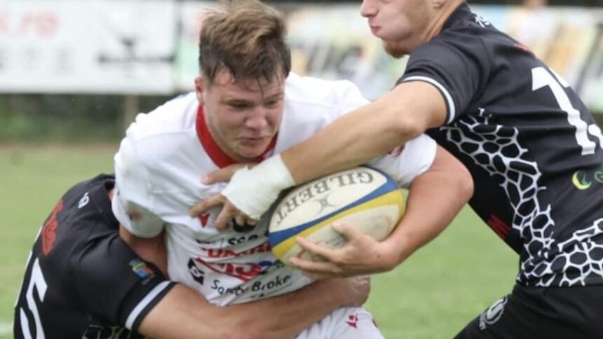 foto dinamo recital cu u cluj pe florea dumitrache scor teribil in cupa romaniei 68c556ce1fd83