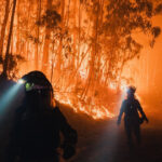 hatisul si padurile invadeaza satele cum contribuie abandonarea zonelor rurale la producerea incendiilor devastatoare din europa 68b6af1db5a1f