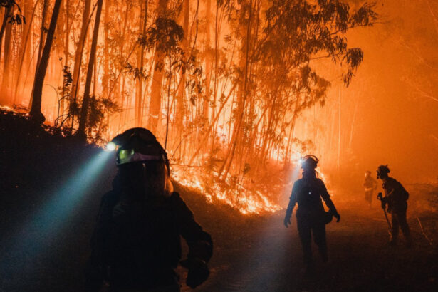 hatisul si padurile invadeaza satele cum contribuie abandonarea zonelor rurale la producerea incendiilor devastatoare din europa 68b6af1db5a1f